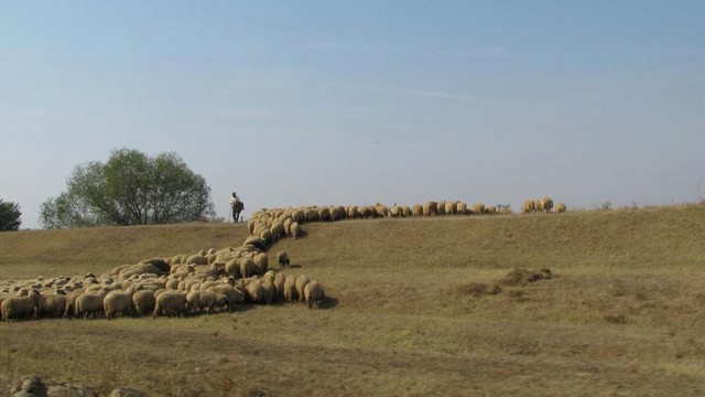 Kliknutm zavete