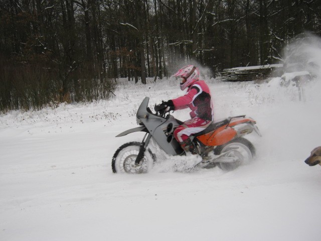 http://www.africatwin.cz/kameniste/Img640/11116_244.JPG