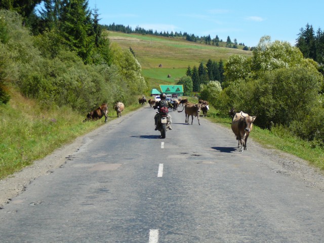 Kliknutm zavete