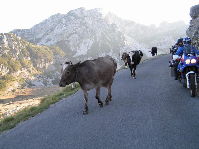 Kliknutm zavete