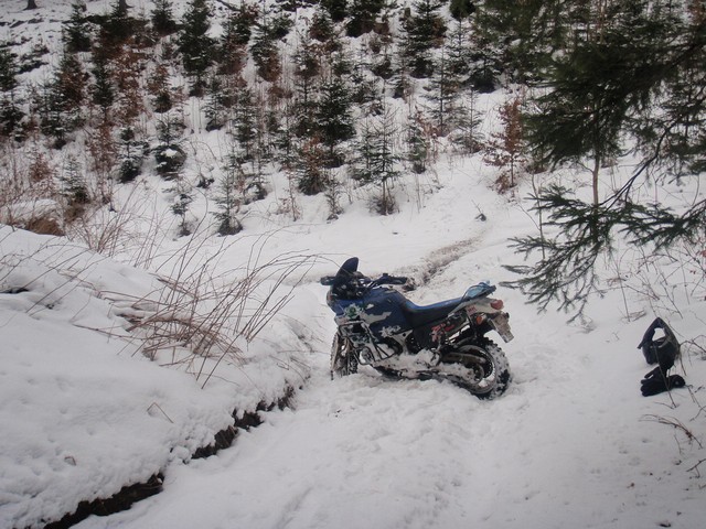 http://www.africatwin.cz/kameniste/Img640/14097_246.JPG