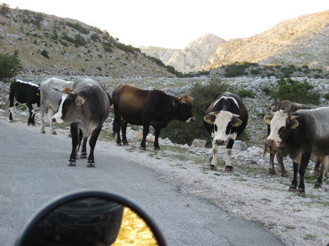 Kliknutm zavete