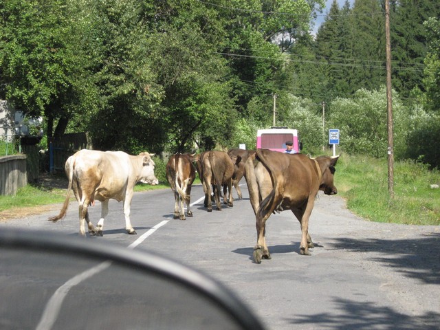 Kliknutm zavete