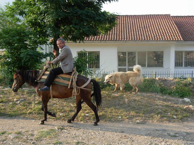 Kliknutm zavete